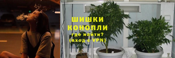 mdpv Богородицк