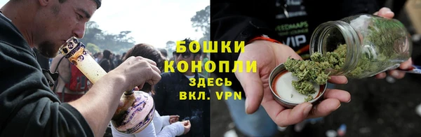 mdpv Богородицк